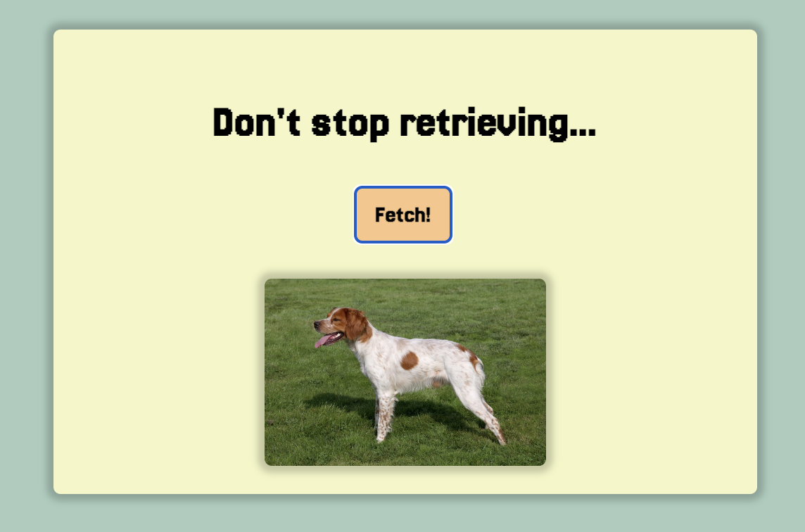 FETCH A DOG