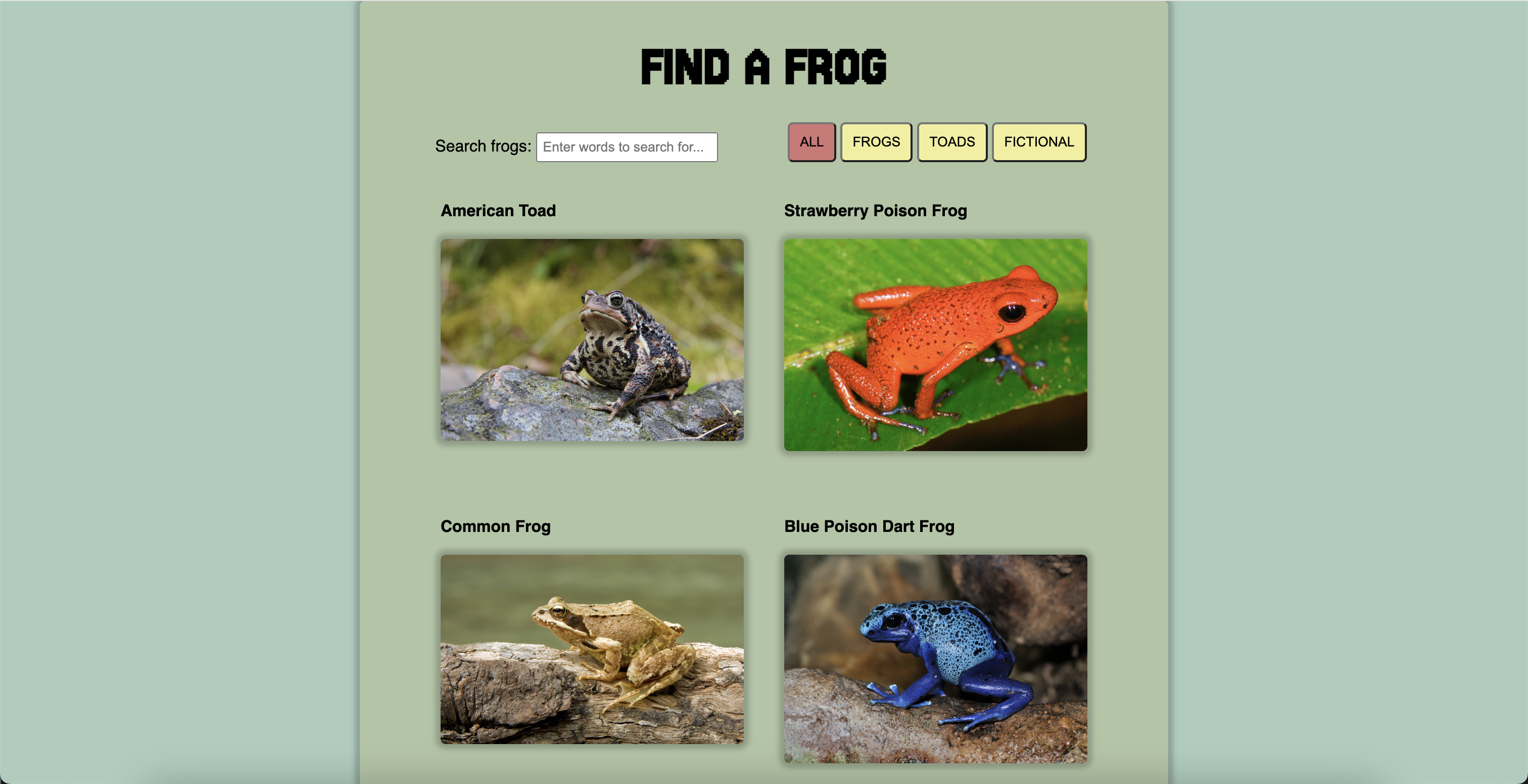 FIND A FROG